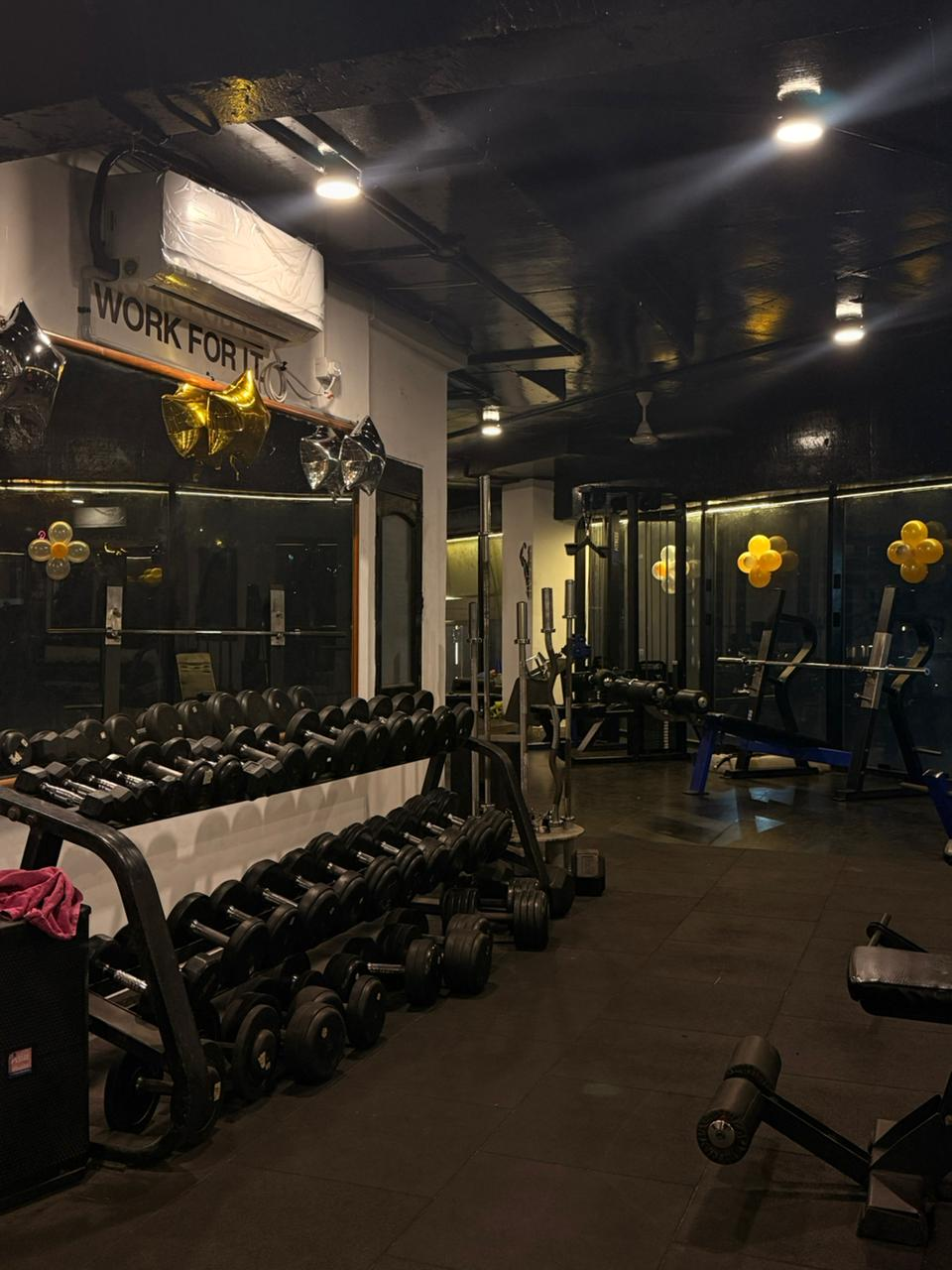 Premium dumbbells and free weights area at Kratos Fitness